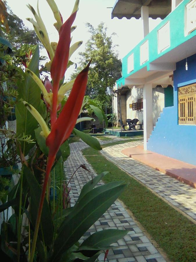 Thomasha Homestay וולאוויה מראה חיצוני תמונה