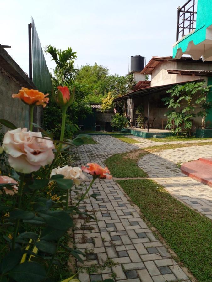 Thomasha Homestay וולאוויה מראה חיצוני תמונה