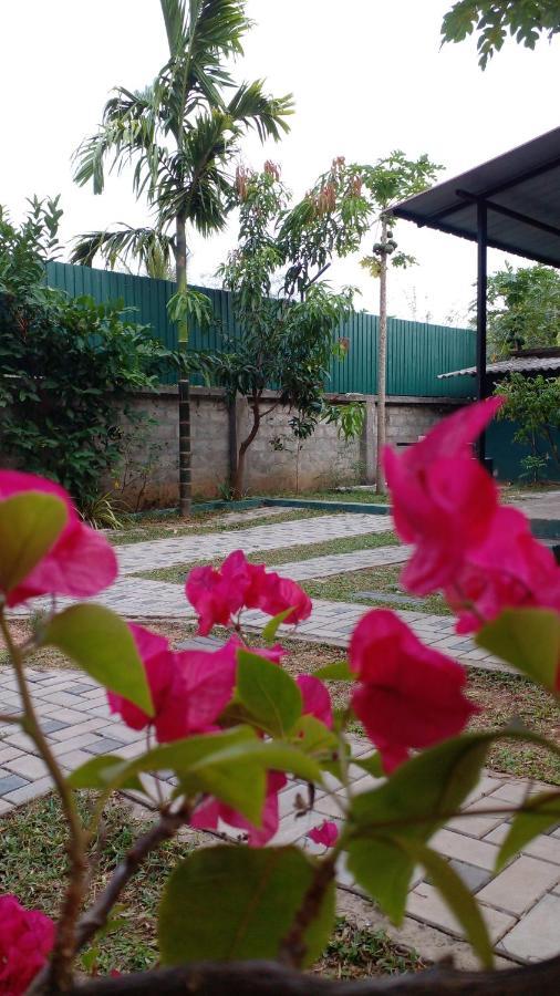 Thomasha Homestay וולאוויה מראה חיצוני תמונה